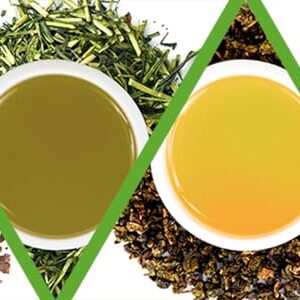 چای ساز کنوود مدل TMG70 | چای ساز کنوود مدل 70 | نمایندگی انحصاری کنوود